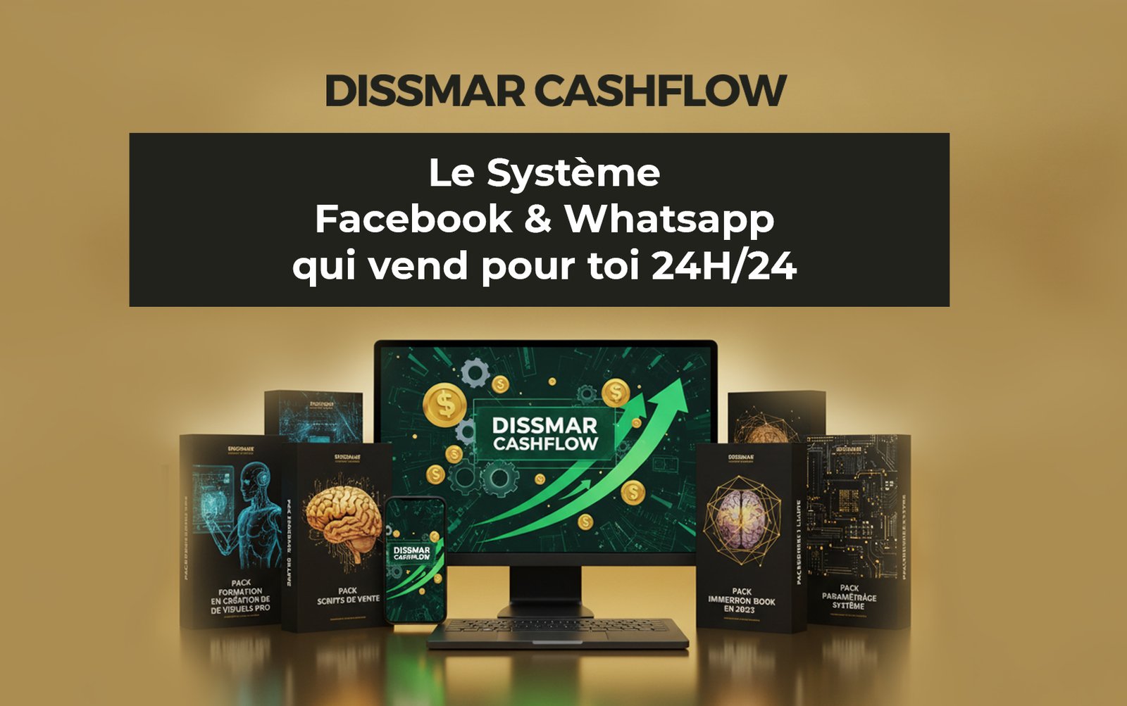 Formation Dissmar Cashflow
